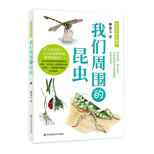 我们周围的昆虫 生活中的生物学丛书 科普读物 认识自然 商品图1