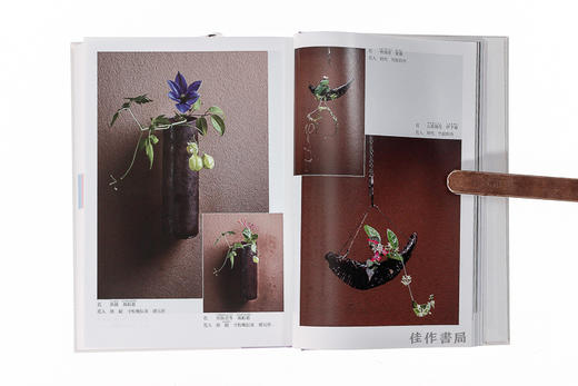 新版　茶花大事典/新版 茶花大事典 商品图3