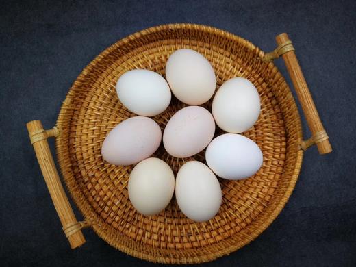 牧草蛋十枚体验装 商品图0