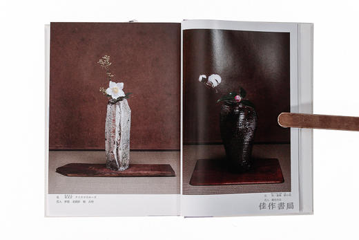 新版　茶花大事典/新版 茶花大事典 商品图2