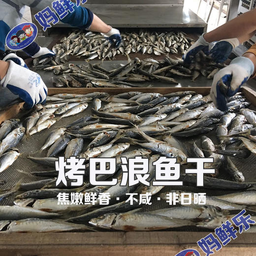 【烤巴浪鱼干（即食）】妈鲜乐订制 采用大型新设备烤制而成 焦嫩鲜香 非日晒 更卫生 纯野生海鱼 商品图1
