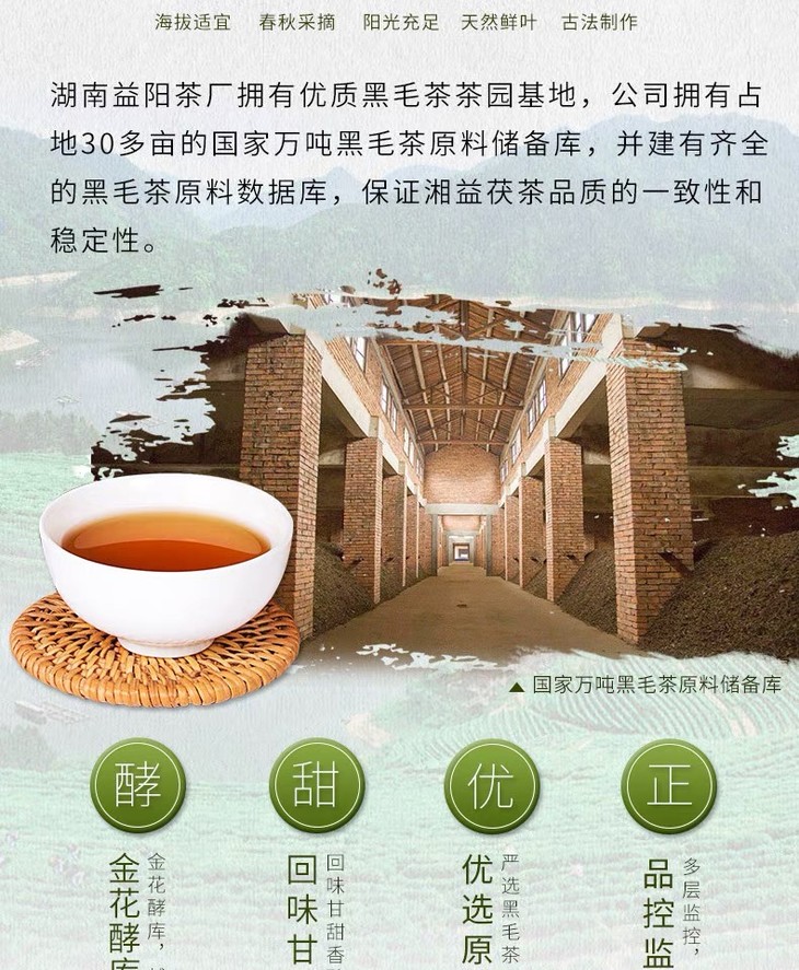 湘益茯茶传承2019900g