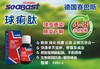 【球痢肽】100ml，鸽子药赛鸽球虫肠炎下痢（德国赛巴斯） 商品缩略图0