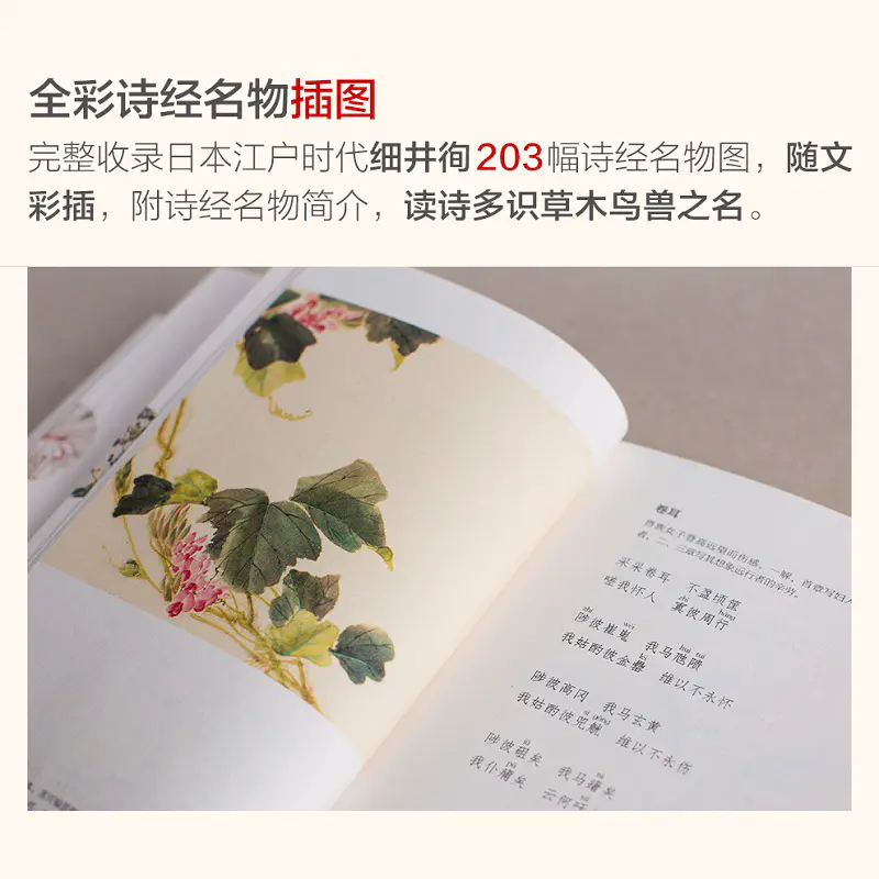 诗经 复旦大学中文系教授骆玉明解读 203幅细井徇彩色手绘原稿