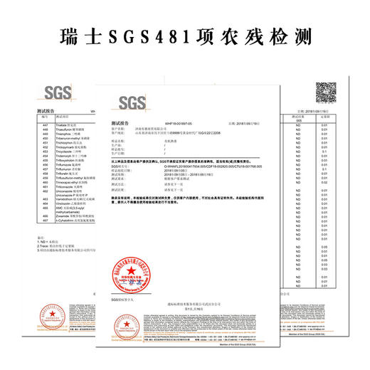 物本源有机无农残茶叶—有机生普 150g 商品图3