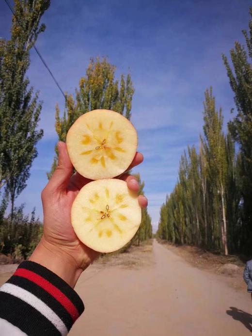 【周二配送】哈尔滨落地配送，2025新疆红旗坡阿克苏，正式开始 商品图2