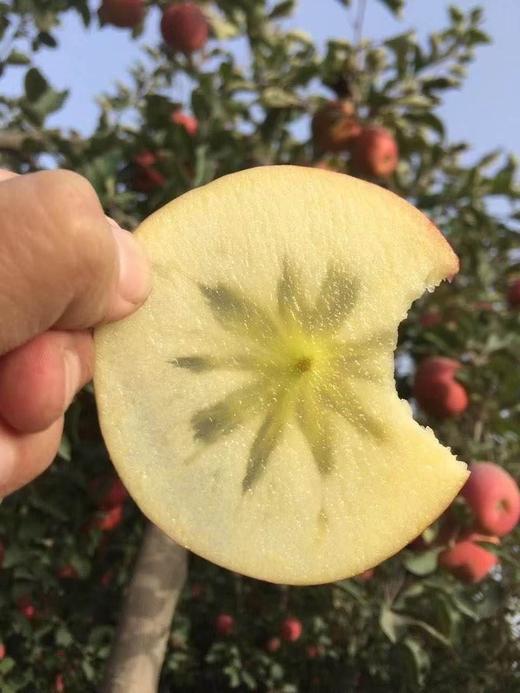 【周二配送】哈尔滨落地配送，2025新疆红旗坡阿克苏，正式开始 商品图3