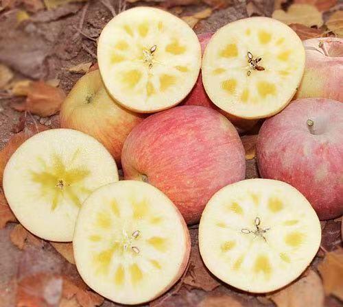 【周二配送】哈尔滨落地配送，2025新疆红旗坡阿克苏，正式开始 商品图1