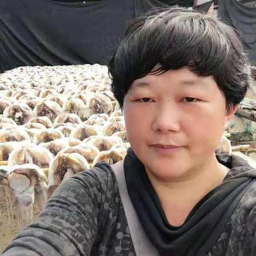 正宗北海墨鱼/血墨鱼，原始手法加工，鲜度好，香味浓。收货后请放冷藏保存，品质一样，论斤不论个，介意慎拍哦~可备注送礼袋，无备注随机发货 商品图8