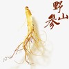 长白山野山参 商品缩略图0