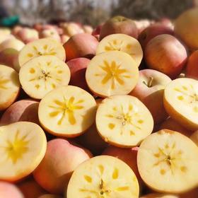 【今日配送】哈尔滨落地配送，2025新疆红旗坡阿克苏，正式开始