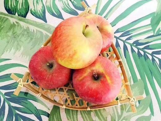 【周二配送】哈尔滨落地配送，2025新疆红旗坡阿克苏，正式开始 商品图6