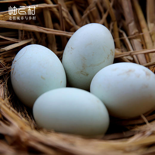 【陈大姐纯手工制作】岫云村丨杜智华品鉴级手工皮蛋 商品图3