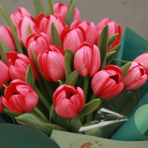 拾年花束 粉色郁金香花束