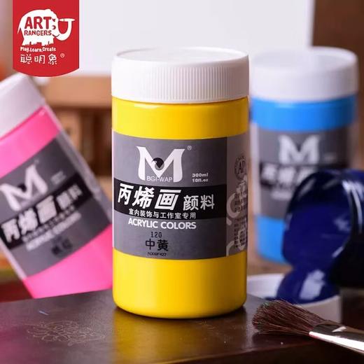 300ML单瓶装EA300丙烯颜料 商品图2