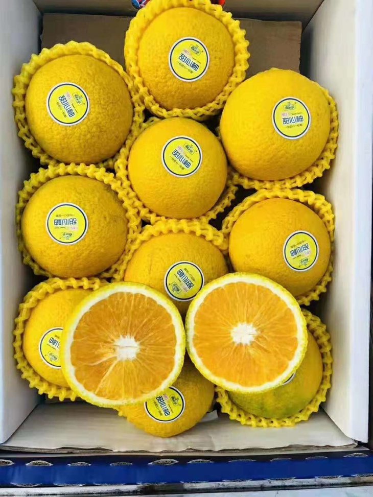 【好吃推荐】甜心葡萄柚 1箱10个 清甜多汁