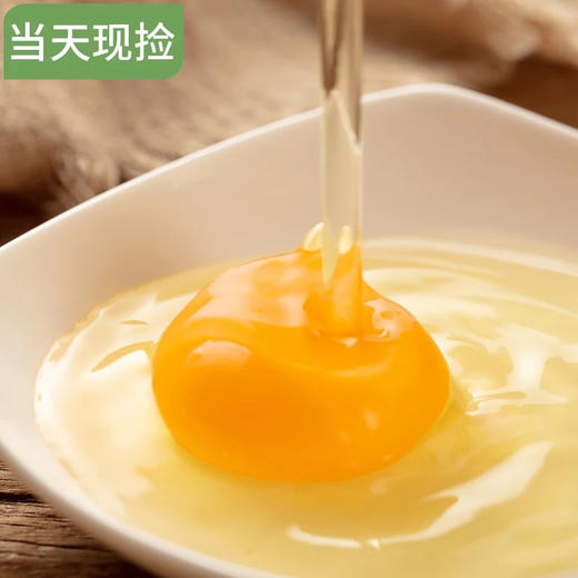 耒阳本地农家散养土鸡蛋 50个/箱 100个/箱 包邮 商品图1