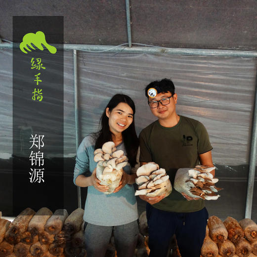 有机茶树菇 | 绿家自产 *Organic mushroom | Self-production 商品图4