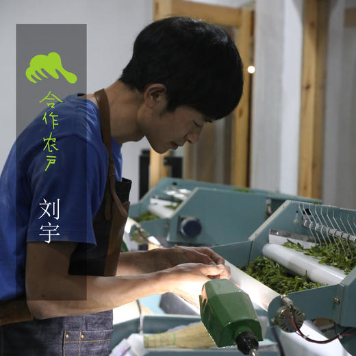 生态茶·雨前龙井  | 合作生产* Longjing Tea of Early spring | Coproduction 商品图6