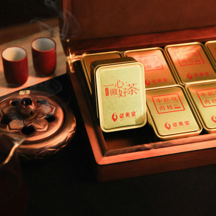 5g x 10盒 武夷山牛栏坑正岩肉桂茶叶