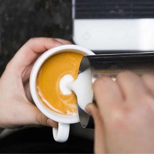 茶布奇诺 蜜树拿铁 无茶碱咖啡因 南非国宝茶如意宝茶茶粉 咖啡馆