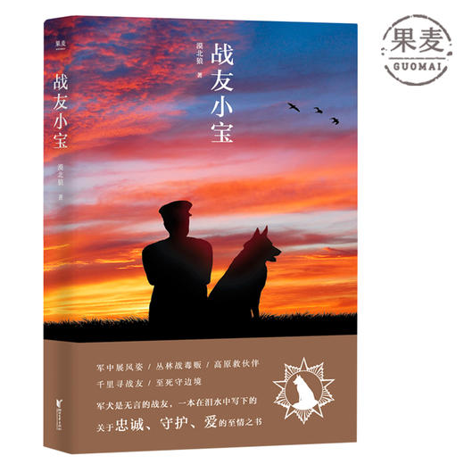 战友小宝 根据真实故事改编 一本在泪水中写下的关于忠诚 守护与爱的至情之书 关于中国军人的“忠犬八公的故事 军旅题材 果麦图书 商品图0
