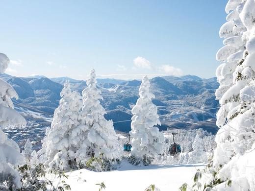 [雪酷25/26雪季]圣诞5日行程·日本北志贺12月24日-12月28日 商品图1