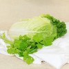 【囤秋菜 送“百财”25元/10斤 】鸿翠园 有机大白菜 商品缩略图0