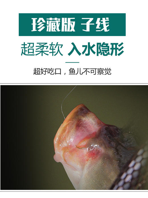 快乐垂钓千寿珍藏版竞技尼龙线子线主线日本进口超强拉力好的鱼线 商品图4