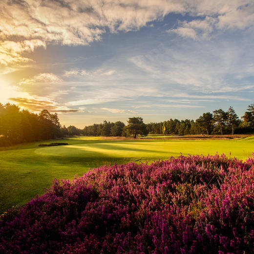 英格兰桑宁戴尔高尔夫俱乐部-新球场Sunningdale Golf Club,NEW Course| 英国高尔夫球场 俱乐部 | 欧洲高尔夫  | 世界百佳 商品图0