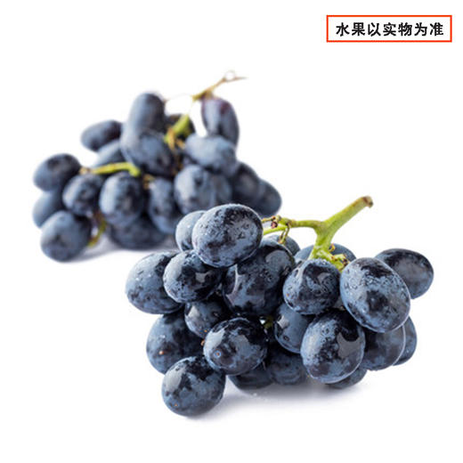 黑提 1250g/盒 商品图0