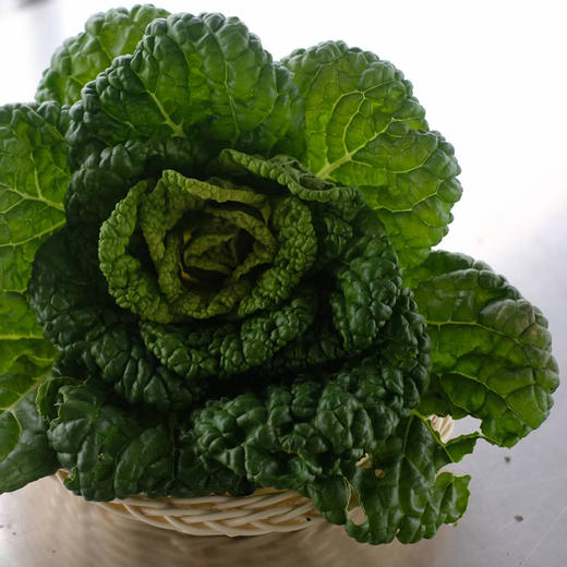 黄心菜 商品图4