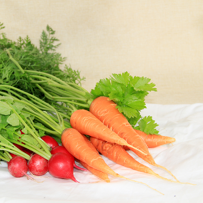 鸿翠园 有机胡萝卜