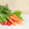 鸿翠园 有机胡萝卜 商品缩略图0