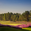 英格兰桑宁戴尔高尔夫俱乐部-新球场Sunningdale Golf Club,NEW Course| 英国高尔夫球场 俱乐部 | 欧洲高尔夫  | 世界百佳 商品缩略图1
