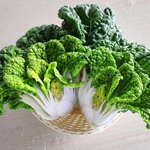 黄心菜 商品图1