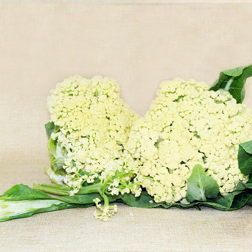 鸿翠园 有机花菜 商品图10