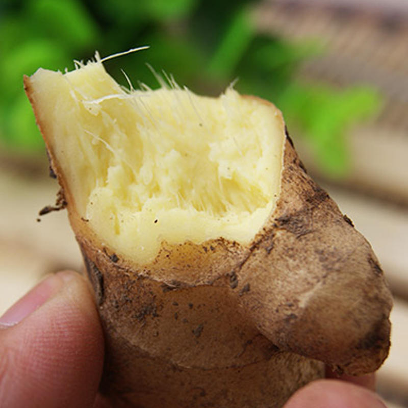 优选新品 | 正宗河南焦作老怀姜,河南省非物质文化遗产 乾隆御赐贡姜