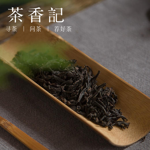 茶香记流香涧肉桂武夷岩茶正岩山场花果香清甜骨感