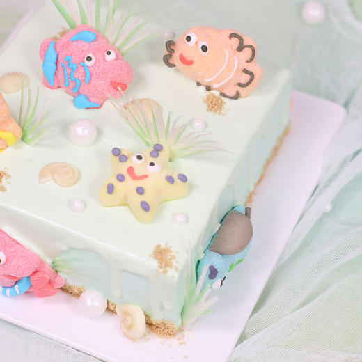 388海底世界+288鲜花套餐 商品图4