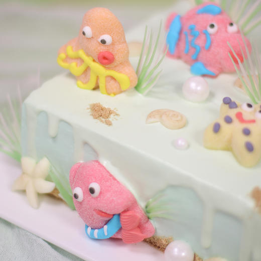 388海底世界+288鲜花套餐 商品图5