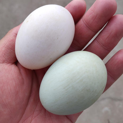 鸭蛋（10个装） 商品图0