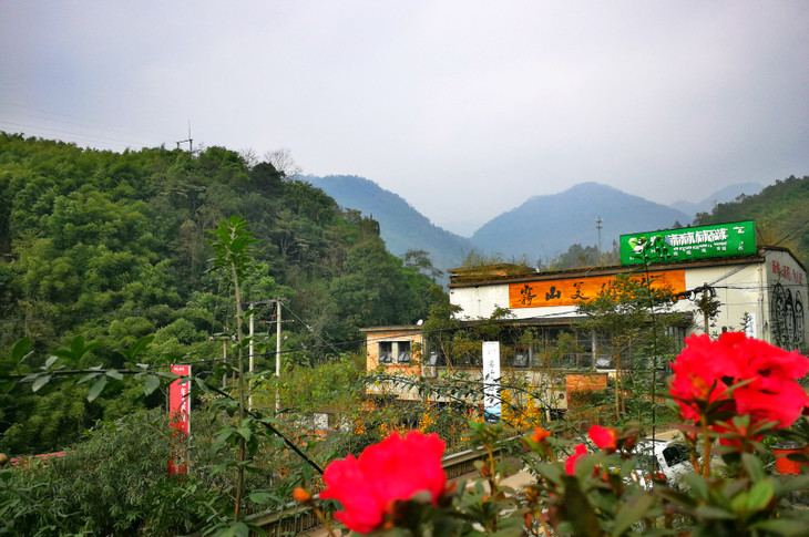 大邑雾山农场图片