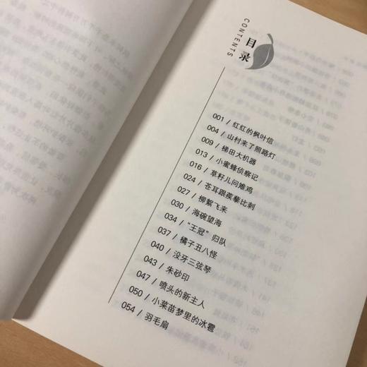 枫叶童话 商品图3