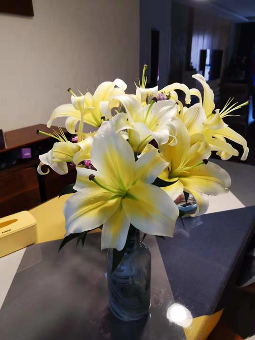 现货黄天霸双头黄色百合一扎5支，一支两头。10个花苞 支长75厘米 商品图0