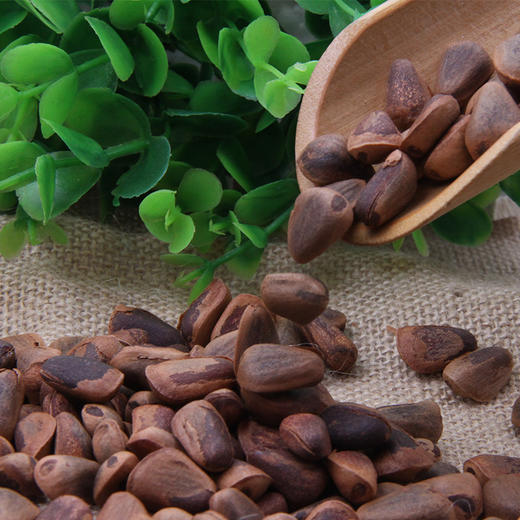 野生开口松子500g  大颗粒 东北笨炒 商品图2