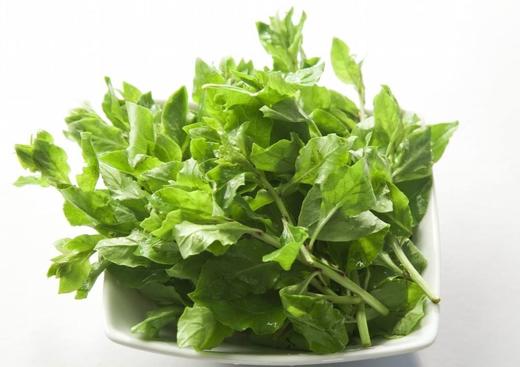 特菜枸杞叶约300克