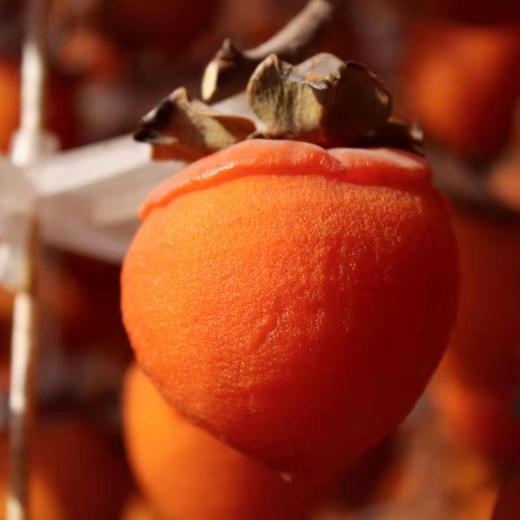 【橙象优选】富平吊柿饼  自然降霜 果肉甜度高软而糯 颗颗精选（到货需冷冻保存） 商品图4