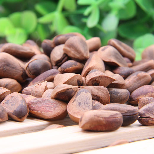 野生开口松子500g  大颗粒 东北笨炒 商品图0