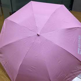 新华欣天堂伞（1把）